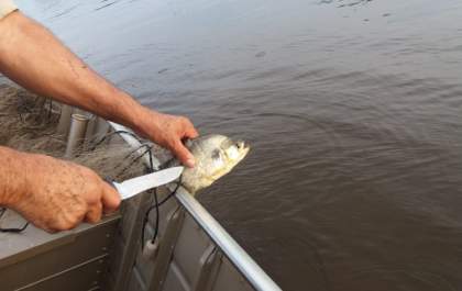 Polícia Ambiental apreende 1 Km de redes de pesca no rio Paraná