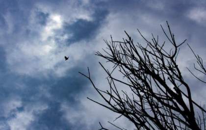 Inmet alerta para chuvas intensas em 24 cidades do interior de MS