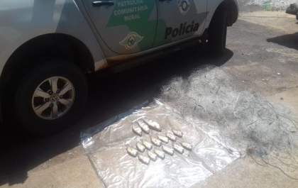 Pescador amador é multado em mais de R$ 700 por pesca irregular no Rio Paraná, em Panorama