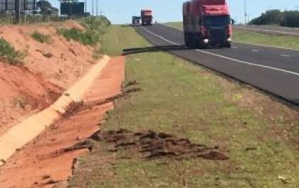 Motorista morre e passageiro fica ferido em capotagem na BR-163