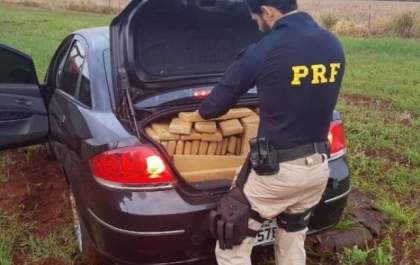 Homem tenta fugir da polícia, mas acaba preso com 392 kg de maconha