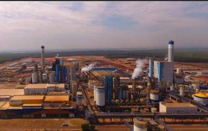 Fibria é eleita a mais sustentável do setor de Papel e Celulose