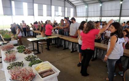 Alunos da rede municipal fazem feira do empreendedor em Andradina