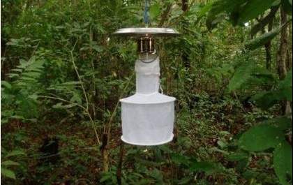 Saúde de Três Lagoas monitora índice de infestação de vetores para controle da leishmaniose