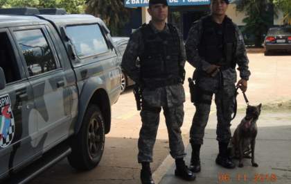 Policiais da Força Tática chegam do V Curso de Operações com Cães