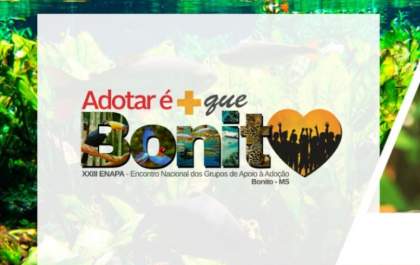 SEMEC de Três Lagoas participa do XXIII Encontro Nacional dos Grupos de Apoio à Adoção