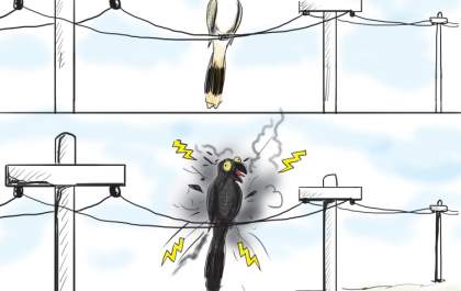 Charge do dia: Falta água, falta luz...
